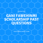 gani fawehinmi scholarship past questions
